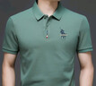 【易穿搭】羅蒙ROMON長(cháng)袖t恤男夏季純色翻領(lǐng)POLO領(lǐng)體恤打底衫男士商務(wù)休閑中青年T恤男裝上衣 翠綠(純棉) 175/XL 曬單實(shí)拍圖