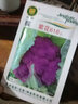 京研西藍花種子西蘭花椰菜花蔬菜種子青菜花西藍花松花菜種籽 紫花616 1000粒 曬單實拍圖