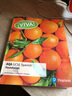 【2-3周達】Viva! AQA GCSE Spanish Foundation Student Book: - Viva! AQA GCSE Spanish Foundation Student ~ 曬單實(shí)拍圖
