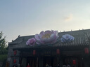 特百惠（Tupperware）雅致300ML塑料杯男女士學(xué)生兒童夏季水杯子戶外便攜口袋杯 魅影紫 曬單實拍圖