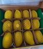 佳沛（zespri）新西蘭 陽光金奇異果12粒禮盒特大果單果約122-146g 獼猴桃 水果 曬單實拍圖