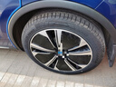 雙星輪胎 235 245 255 265 275/35 40 45 50 55R17 18 19 20安全耐用 265/45R21 108V PRTECH 曬單實(shí)拍圖