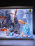森森（SUNSUN）鱼缸水族箱桌面生态金鱼缸玻璃迷你小型客厅懒人免换水家用缸 (高清玻璃)白300+海底世界景 带20件套 实拍图