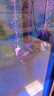 森森 魚(yú)缸造浪吹便泵打浪泵 水族造流泵 底濾魚(yú)缸造浪內置造浪器 JVP-101A【吸盤(pán)底座】6w 曬單實(shí)拍圖