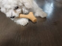 GiGwi贵为狗玩具磨牙棒狗狗磨牙玩具幼犬小型犬狗狗玩具用品木塑鹿角小号宠物玩具小狗玩具 实拍图