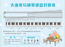 陳師傅五線(xiàn)譜知識啟蒙鋼琴鍵盤(pán)譜表88樂(lè )理掛圖音樂(lè )教室琴房學(xué)習海報墻貼 大譜表鋼琴鍵盤(pán)對照表 背膠/有膠可粘貼45x60cm 曬單實(shí)拍圖