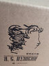 【贈藏書票】普希金文集 全十二卷 抒情詩敘事詩童話詩體小說 葉甫蓋尼奧涅金 散文戲劇文學(xué)劇本 俄國文學(xué)世界名著俄羅斯詩歌 上海譯文出版社 曬單實拍圖