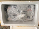 東山館大鮑魚(yú)干精品淡曬鮑魚(yú)干佛跳墻干鮑魚(yú)溏心鮑魚(yú)海鮮干貨煲湯送禮 大鮑魚(yú)干100g約16-18只 曬單實(shí)拍圖