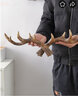 睿泰美式復古鹿角裝飾掛鉤墻面壁掛衣帽鉤 創(chuàng  )意服裝店玄關(guān)墻飾鑰匙鉤 中號鹿角掛鉤深色 現貨 曬單實(shí)拍圖