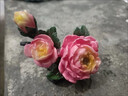 冬霧花開(kāi)富貴開(kāi)運牡丹花精品可養茶桌茶具配件茶玩茶臺裝飾品茶道配QC 花開(kāi)富貴變色茶寵（禮盒款） 曬單實(shí)拍圖