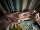 禾聲1-3歲寶寶兒童睡袋3-6歲春秋冬款四季純棉中大童小孩防踢被5-10歲 粉動(dòng)物【純棉款】 170cm【身高130~170，春秋中厚】 曬單實(shí)拍圖