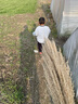 G.DUCKKIDS女童針織開(kāi)衫2024新款秋裝線(xiàn)衣1-6兒童加絨外套嬰幼兒寶寶毛衣潮 N灰色米奇 100cm適合90-100cm年齡3-4歲 曬單實(shí)拍圖