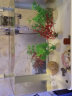 森森小鱼缸桌面小型水草缸生态免换水缸客厅超白热弯玻璃水族箱 超白裸缸HRK300长（带17套大礼包） 默认5 实拍图