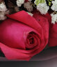 浪漫季节鲜花速递同城配送33朵红玫瑰花束表白求婚女友老婆生日礼物全国 33朵红玫瑰-满天星A款 今日达-【可预约送花时间】 实拍图