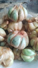 【2024年鮮蒜批發(fā)價(jià)】 新蒜頭紅皮紫皮大蒜嫩蒜新鮮濕蒜腌糖醋蒜 2024年現(xiàn)挖鮮蒜[補(bǔ)貼5元]沖量 1kg 特價(jià)補(bǔ)貼丨帶箱6斤丨大果 曬單實(shí)拍圖
