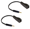 威焱RJ45母轉DC3.5mm公rj45母轉2RCA公帶擴展器加網(wǎng)線(xiàn)延長(cháng)305米音頻線(xiàn)雙蓮花頭音頻線(xiàn)音頻轉接頭 2RCA+DC3.5 曬單實(shí)拍圖