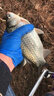 卸力線組斑點釣魚線套裝全套主線正品綁好超強拉力鯽魚主線組成品 3.6米卸力子線夾(單迷彩鉛 3卷裝) 0.8# 曬單實拍圖