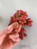 澤鮮達克倫生無籽紅提無核葡萄應當季水果脆甜提子整箱禮盒裝紅提子 1斤 優(yōu)選裝 曬單實拍圖