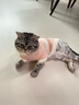 蕉內(nèi)絨絨555H寵物衣服半邊絨保暖貓狗拼色寵物服秋冬季帶袖款 【長(zhǎng)袖】橘黃拼色 M 曬單實(shí)拍圖