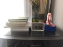 稀奇（XQ）《旺旺旺》桌面藝術(shù)擺件寵物造型生日禮物創(chuàng  )意禮品禮盒裝 曬單實(shí)拍圖