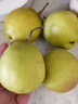 譯優(yōu)農 【順豐】新疆庫爾勒香梨新鮮脆甜當季水果爆甜酥脆梨子特產(chǎn)禮盒 帶箱10斤精選一級【單果100-120g】 曬單實(shí)拍圖