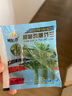 雞腿芥藍芥蘭菜春季種菜園種耐熱耐寒農(nóng)家四季播蔬菜 【今年新種】雞腿芥蘭種子 高產(chǎn)良種【1包約10O0?！款w顆精 曬單實拍圖