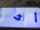 HUAWEI Mate 70 Pro+ 16GB+512GB羽衣白鴻蒙AI 高亮鈦玄武架構 紅楓原色影像華為鴻蒙智能手機 曬單實(shí)拍圖