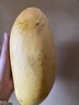 冠福記海南金煌水仙芒果10斤新鮮水果孕婦大果黃皮金煌甜心芒當(dāng)季整箱 大果10斤裝 曬單實(shí)拍圖