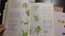 【新華正版】植物觀察筆記/我的大自然觀察筆記 動物觀察筆記看名校學(xué)生怎樣做自然觀察筆記 少兒植物科普書籍 青少年興趣培養(yǎng)思維觀察訓(xùn)練書 曬單實拍圖