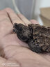 原種大鱷大型鱷龜大小雜活體人工養殖寵物觀(guān)賞龜大型鱷龜 高級精品純種大鱷有紅蚯蚓會(huì )釣魚(yú)，挑龜：tiyia9 5-6cm冷水單獨精養可冷水過(guò)冬 曬單實(shí)拍圖