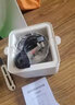 四季熊煮蛋器蒸蛋器全自動斷電家用多功能迷你小型煮蛋神器智能定時溏心蛋溫泉蛋早餐酸奶機(jī) 【升級款】智能預(yù)約+不銹鋼蒸格+蒸架 曬單實(shí)拍圖