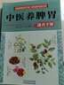 中醫(yī)養(yǎng)脾胃速查手冊(cè) 中醫(yī)藥膳食譜按摩推拿穴位書(shū) 調(diào)理脾胃虛寒內(nèi)分泌失調(diào)胃寒胃痛畏寒精神不振發(fā)胖養(yǎng)生書(shū)籍大全 曬單實(shí)拍圖