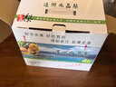 裕瓊連州廣東水晶梨潭嶺清遠脆冠梨子現(xiàn)摘無渣黃花梨當季新鮮水果 5斤精選老樹特大果【現(xiàn)摘現(xiàn)發(fā)】 曬單實拍圖