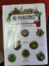 多肉植物圖鑒 曬單實(shí)拍圖
