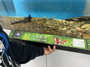 艾諾芬 魚池殺菌燈戶外潛水式紫外線消毒燈除藻燈凈水滅菌燈 30W雙管（長46cm）適用10噸水 曬單實拍圖
