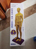 子彧（ZIYU） 硬模型 中醫(yī)經(jīng)絡(luò)圖針灸人體穴位模型全身男小人銅人純銅超清晰刻字 銅色高清男模型（60cm） 曬單實(shí)拍圖