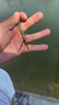 迎科進(jìn)口青鱘 大物線主子線 超強(qiáng)拉力尼龍線青魚(yú)線 超柔軟巨物 魚(yú)線 100米青鱘巨物子線（透明） 5號(hào) 曬單實(shí)拍圖