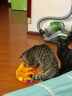 憨憨乐园 猫玩具球逗猫猫咪自嗨神器球自动磨牙剑麻球颜色随机3个装 实拍图