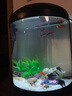 博宇（BOYU）半圓形魚(yú)缸 圓柱水族箱高清玻璃客廳中式金魚(yú)缸園形桌面魚(yú)缸 38半圓魚(yú)缸 不帶柜黑色+造景 曬單實(shí)拍圖