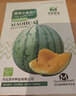 中科茂華瓜果種子茂華小金蘭禮品西瓜種子花皮黃肉超小鳳種子超甜金福K8 茂華小金蘭50粒/袋 曬單實(shí)拍圖