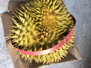 榴小橔泰國進(jìn)口金枕頭榴蓮水果 新鮮鮮果帶殼金枕榴蓮 保鮮整個(gè)榴蓮 榴蓮精選2-3斤 曬單實(shí)拍圖
