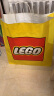 乐高（LEGO）积木11038缤纷创意积木盒4岁+男孩女孩儿童玩具生日礼物上新 实拍图