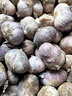 辰實(shí)【新干蒜】新鮮紫皮大蒜 大蒜頭 云南獨頭蒜 腌制臘八蒜糖醋蒜 9斤（三丫蒜） 曬單實(shí)拍圖