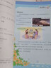 2025年適用冀教版六年級下冊數學(xué)書(shū)小學(xué)數學(xué)課本學(xué)生用書(shū)河北教育出版社6年級下學(xué)期數學(xué)教材教科書(shū) 曬單實(shí)拍圖