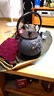 龍善堂日本鐵壺日式煮水壺泡茶功夫茶具植物汁涂層可煮茶壺?zé)畨夭鑹?梅寒麗秀 曬單實(shí)拍圖