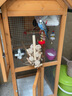 寵兒新家原木鸚鵡玩具益智玩具啃咬玩具鸚鵡用品秋千吊環(huán)鳥(niǎo)玩具套裝 曬單實(shí)拍圖