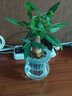 吊蘭蘆薈綠植盆栽室內水培植物花卉 發(fā)財樹(shù)(大收腰玻璃瓶) 含盆 曬單實(shí)拍圖
