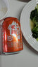 天潤(rùn)（terun）奶啤新疆天潤(rùn)國(guó)貨啤酒300ml罐飲料整箱酸奶乳酸菌飲品 奶啤12罐【沙棘】 曬單實(shí)拍圖