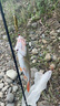光威（GW）魚(yú)竿路亞竿2.34米M調嘯浪左手水滴輪路亞桿套裝鱸魚(yú)翹嘴竿路亞 曬單實(shí)拍圖