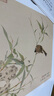 姹紫嫣紅開(kāi)遍:沒(méi)骨花卉畫(huà)片集 冊(cè)頁(yè)鑒賞臨摹花鳥(niǎo)畫(huà)教程畫(huà)冊(cè)底稿 惲壽平同類中國(guó)畫(huà)花鳥(niǎo)畫(huà)技法作品集附教學(xué)視頻 曬單實(shí)拍圖
